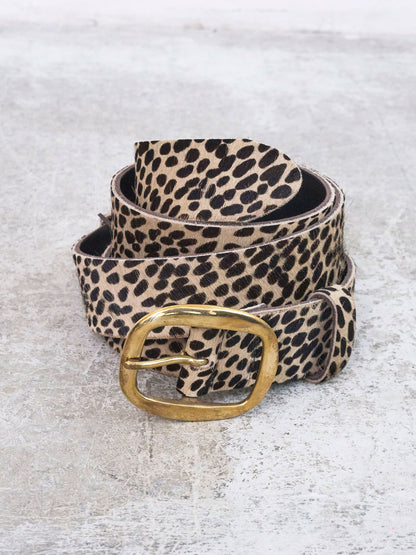 A leopard print belt with a large gold-tone buckle, coiled on a light gray textured surface.