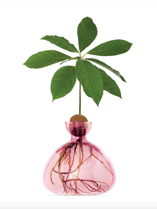 AVOCADO VASE ROSE PINK