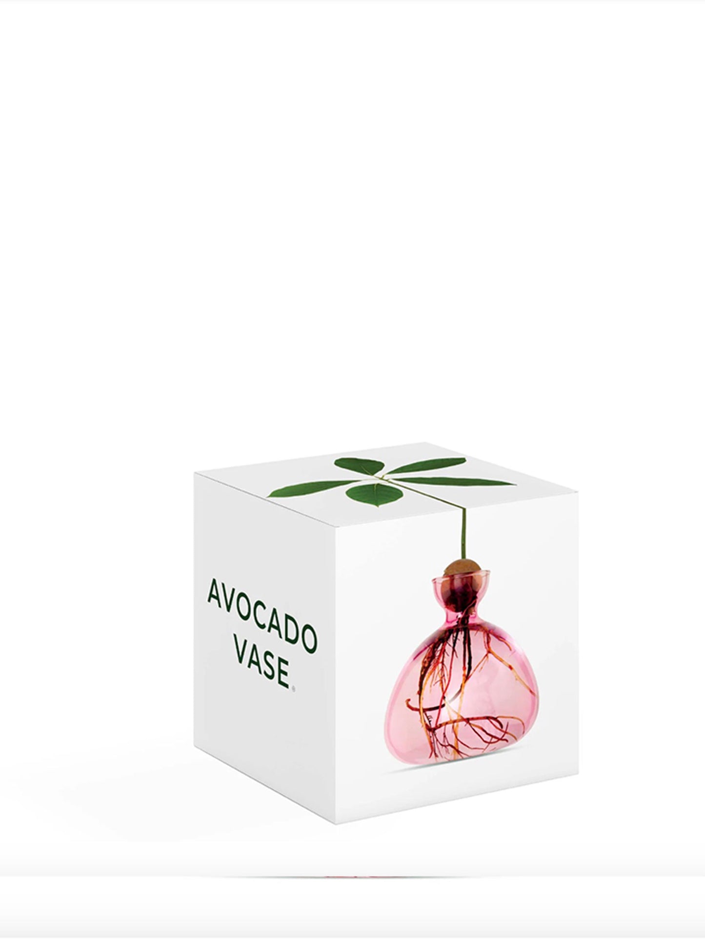 AVOCADO VASE ROSE PINK