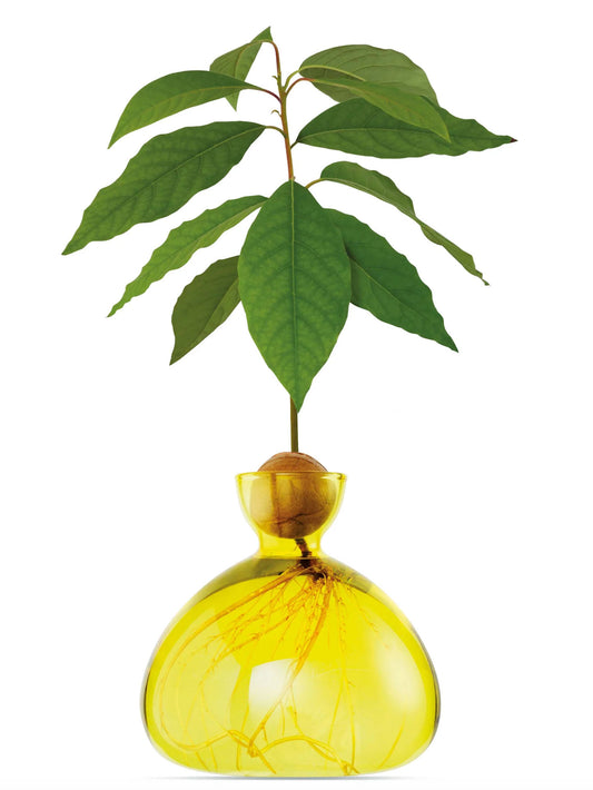 AVOCADO VASE SUNLIGHT YELLOW