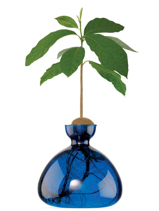 AVOCADO VASE LAPIS BLUE